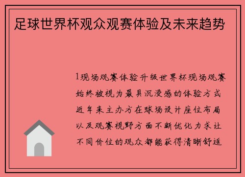 足球世界杯观众观赛体验及未来趋势